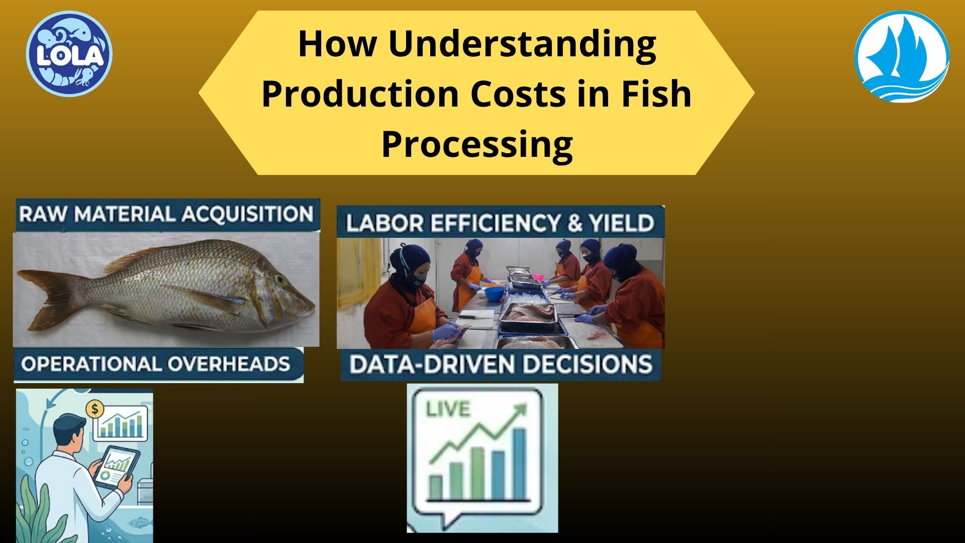  How Understanding Production Costs in Fish Processing